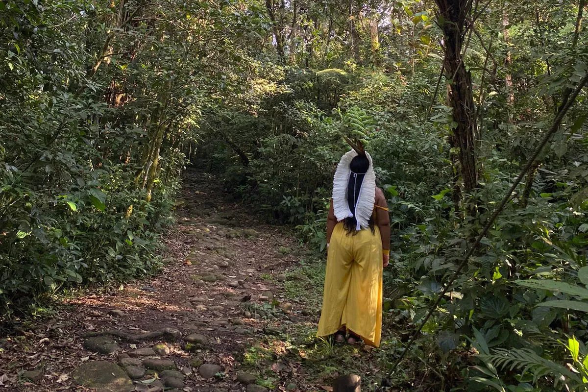 Grande Reserva da Mata Atlântica recebe agenda turística com experiência cultural