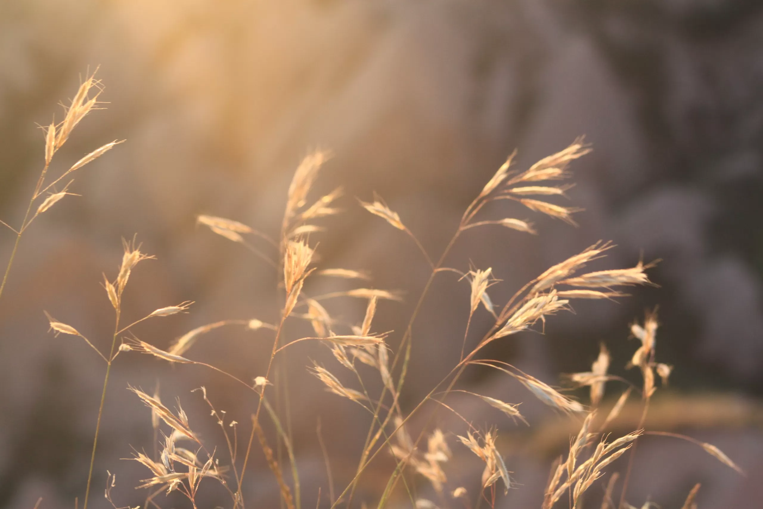 Exposição “CaMinho da Luz” de Leonardo Medeiros ilumina Biblioteca Municipal de Cascavel em agosto