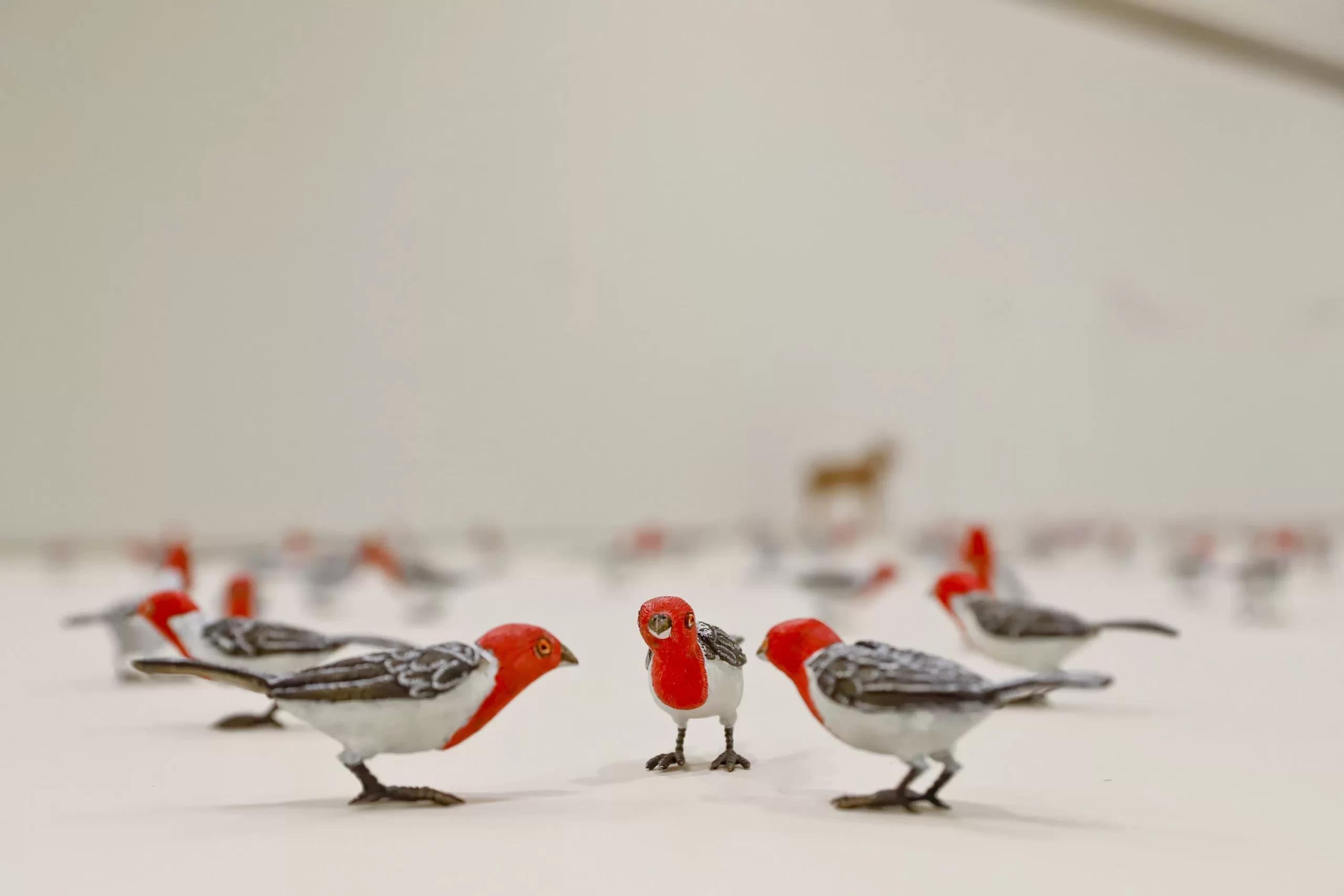 Museu Oscar Niemeyer oferece oficinas e visitas mediadas gratuitas em agosto