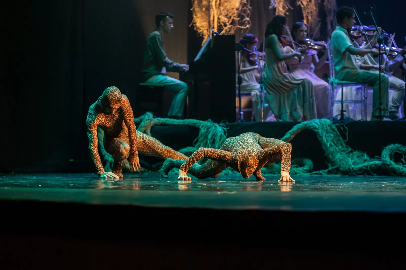 Guadakan: Espetáculo que une dança e música para preservar o Pantanal chega a Cascavel