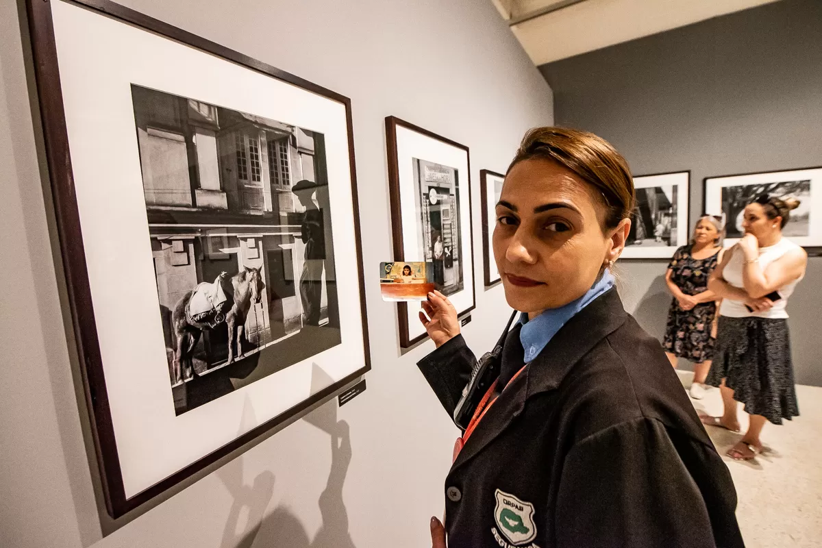 Dentro do MON: colaboradores contam histórias sobre trabalho com obras de arte