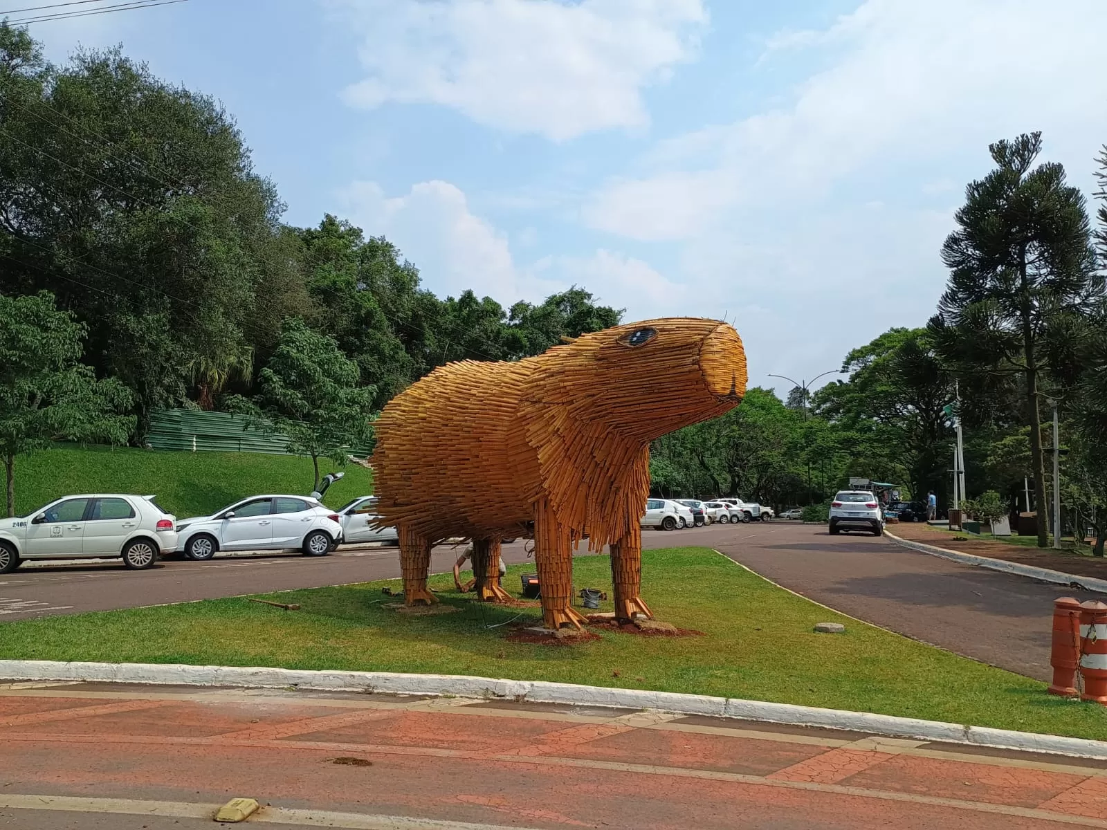 Natal dos Pioneiros: Capivaras gigantes chamam atenção em Cascavel