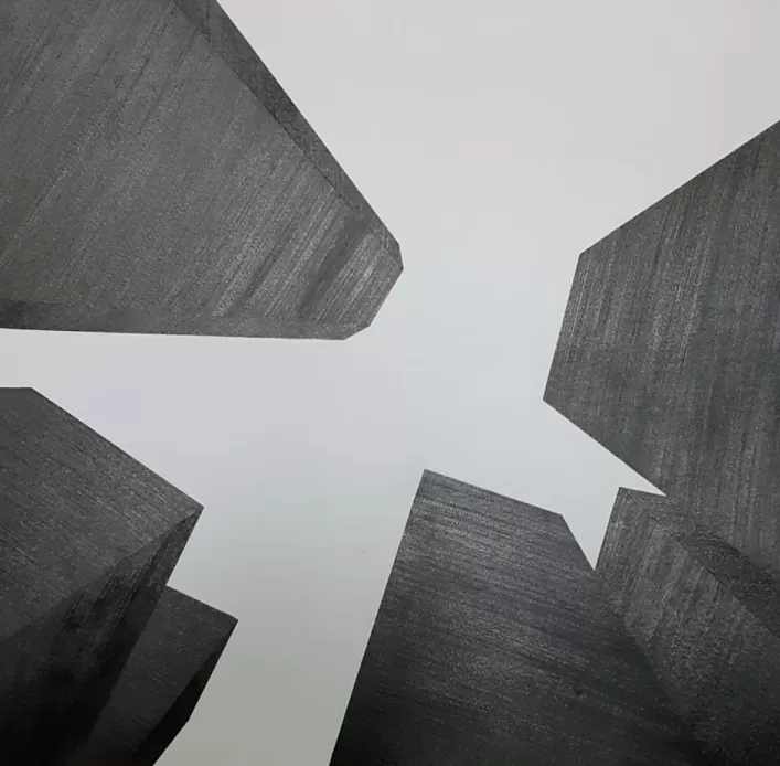 Natureza Geométrica: Exposição que transforma paisagem urbana em reflexão artística é destaque em Cascavel