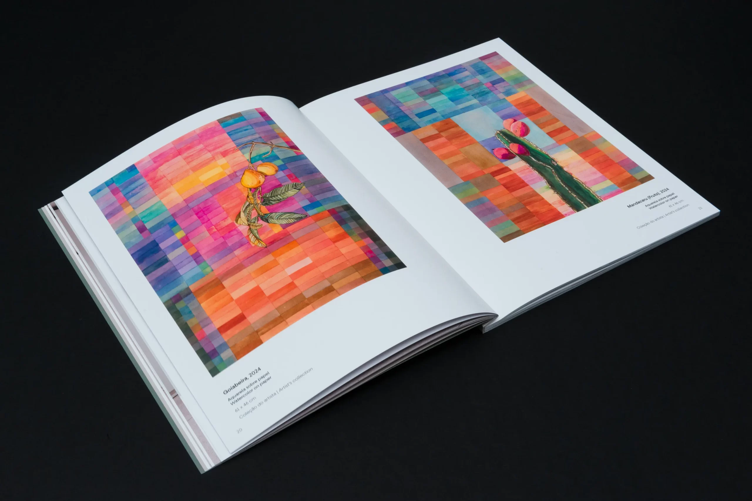 Catálogo da mostra de Efrain Almeida está disponível na MON Loja