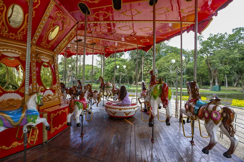 Confira o roteiro para aproveitar o Natal de Curitiba Luz dos Pinhais com as crianças