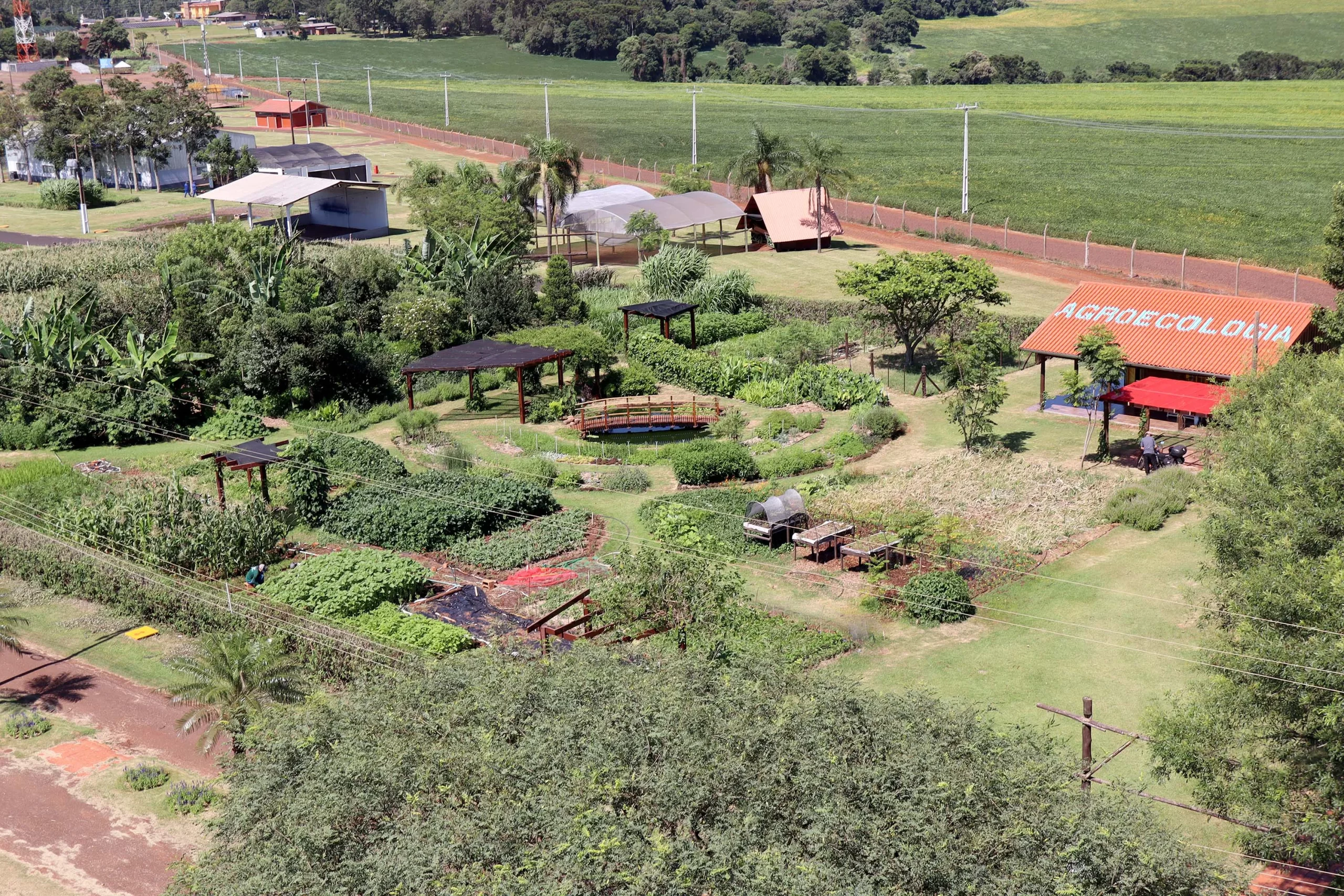 Vitrine Tecnológica do IDR-PR vai mostrar as novidades da agroecologia no Show Rural