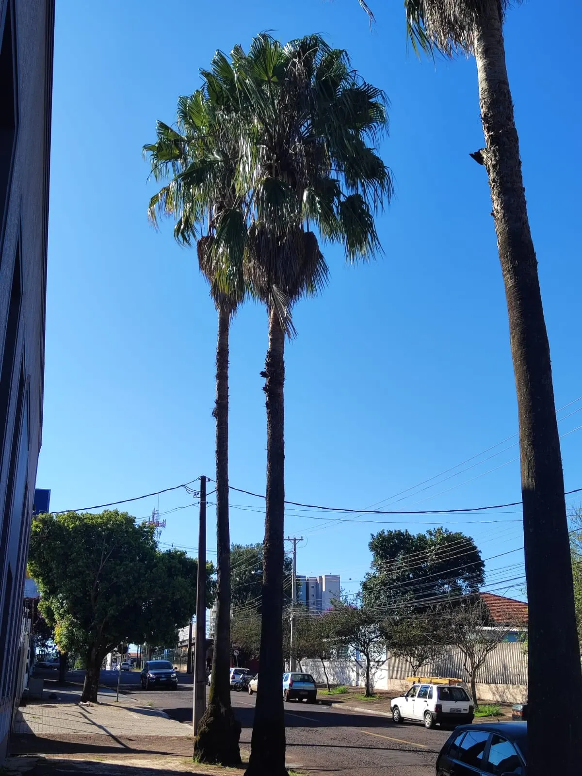 Sexta-feira de calor e tempo instável em Cascavel