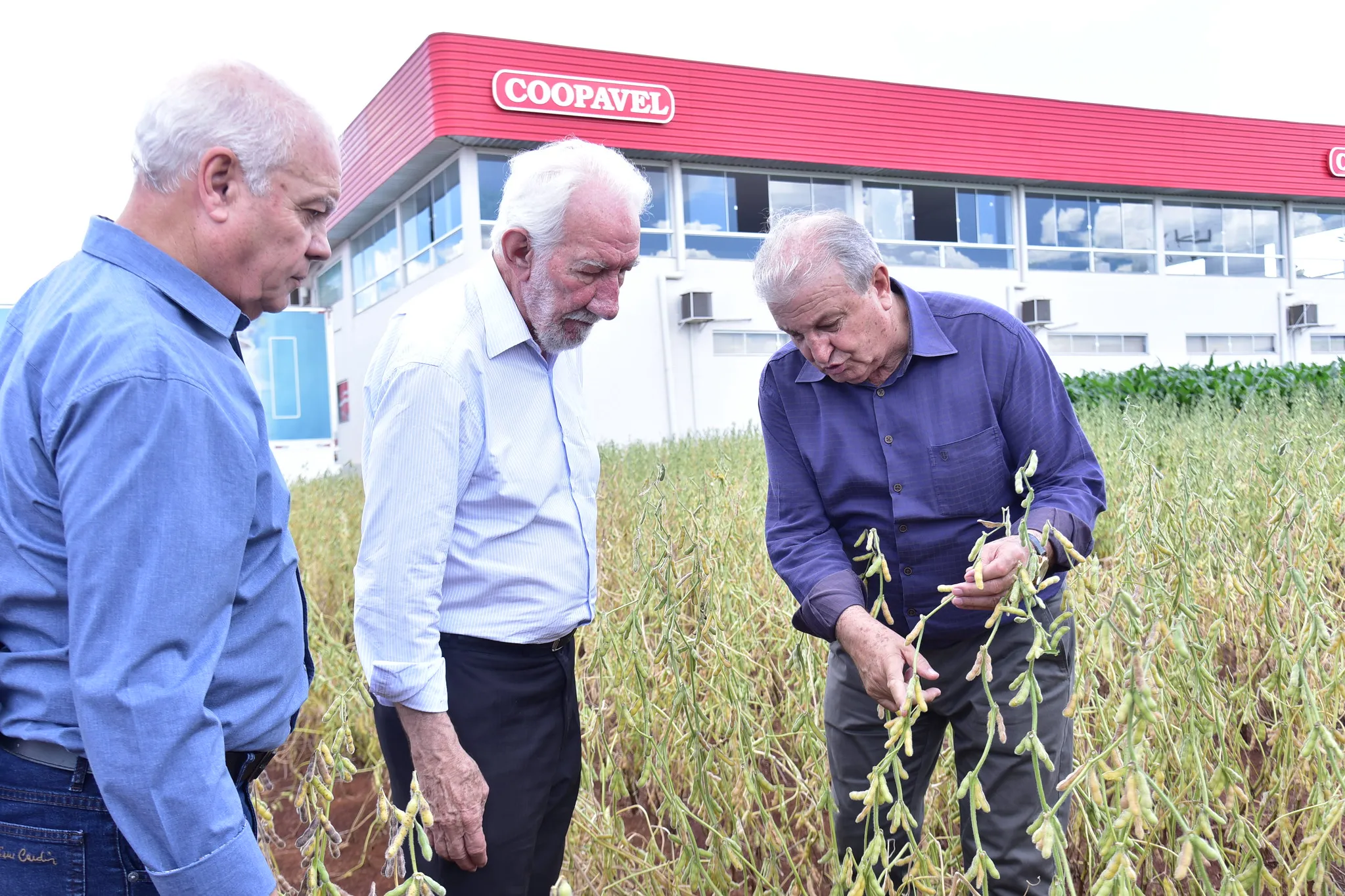 Show Rural Coopavel tem recorde de público no primeiro dia