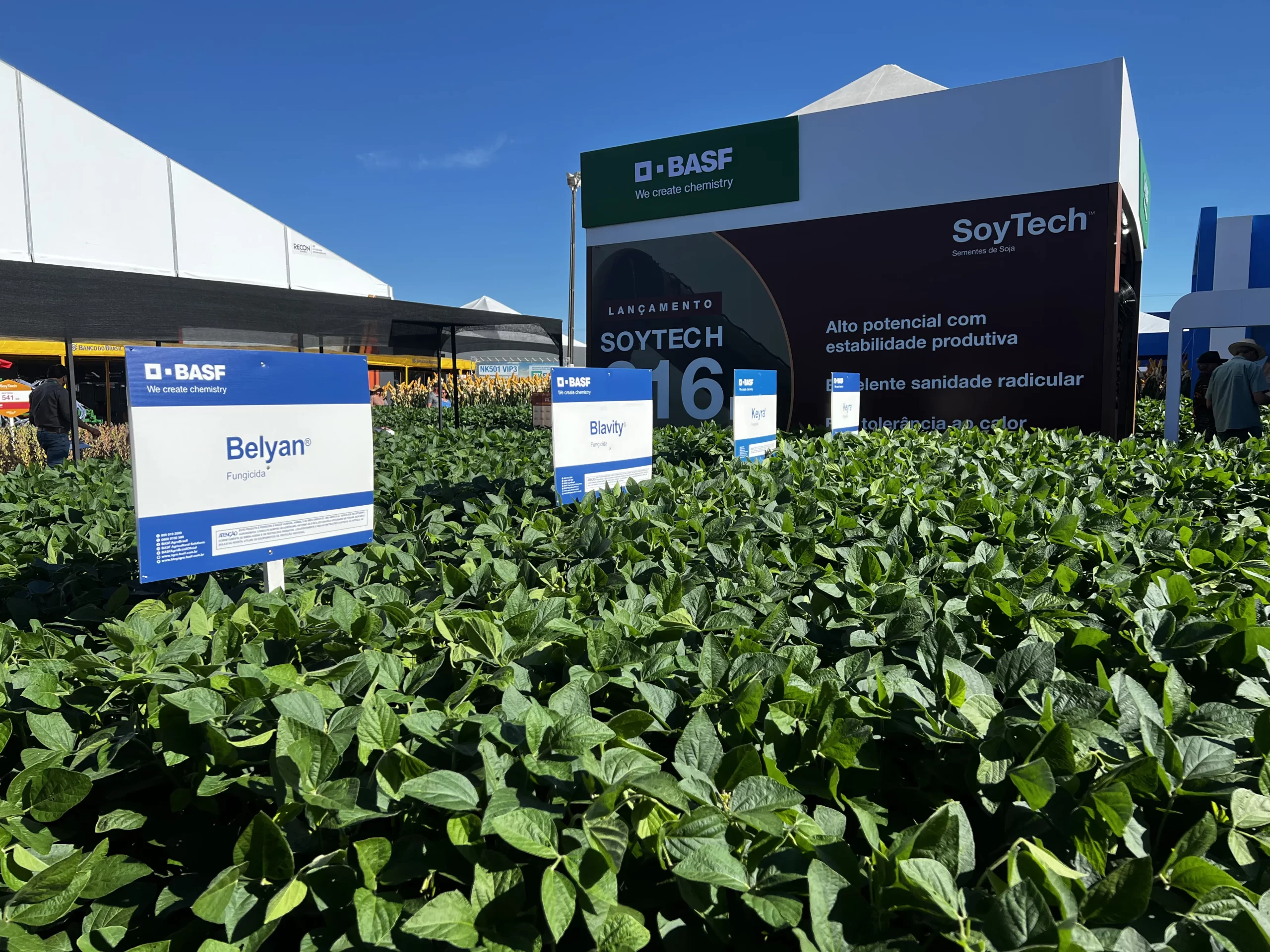 BASF apresenta novidades no Show Rural Coopavel
