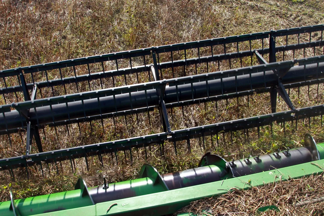 Paraná lidera produção e importação de feijão, e começa a expandir exportação do produto