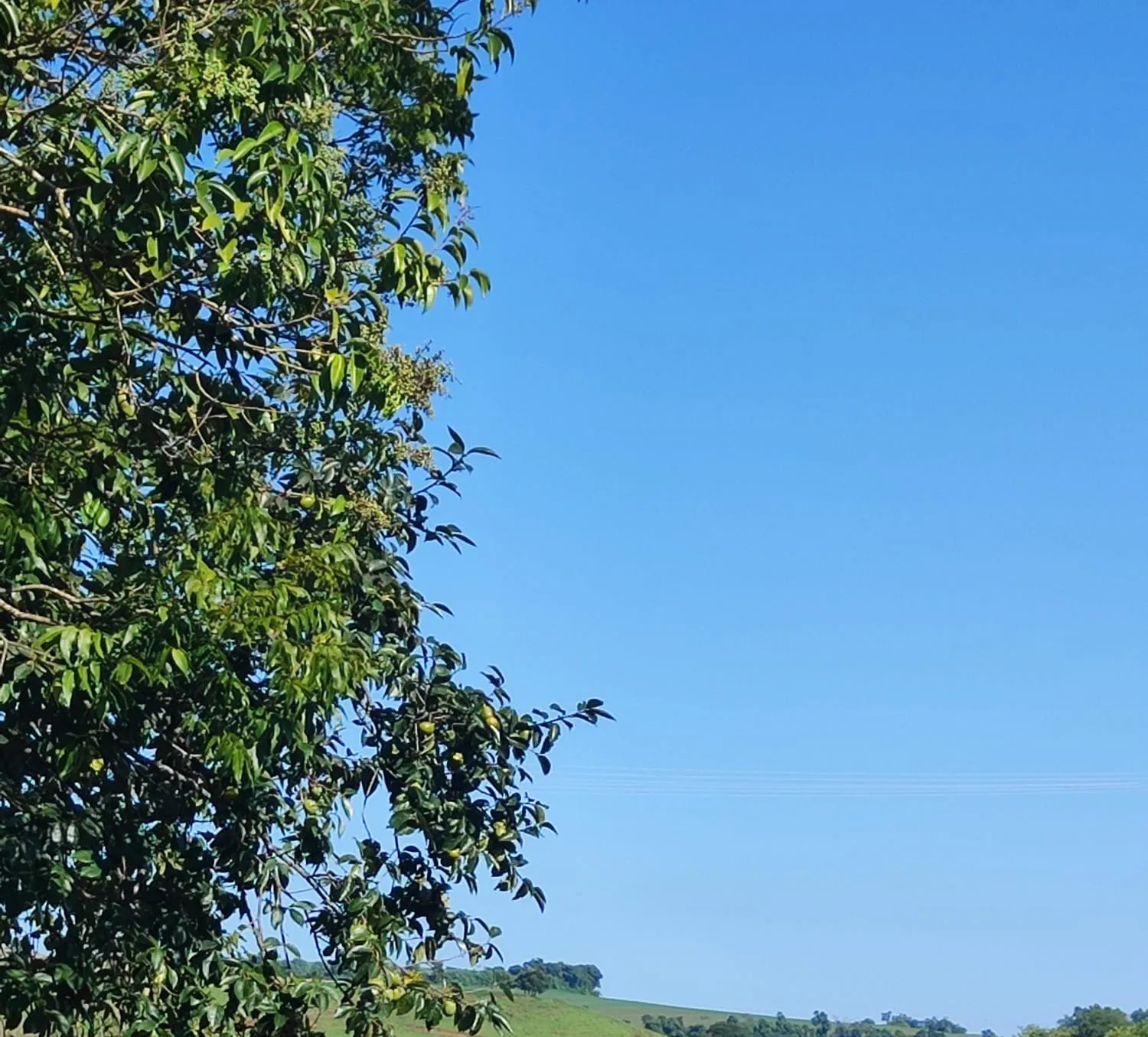 Cascavel terá sábado de sol e calor intenso, com máxima de 32°C