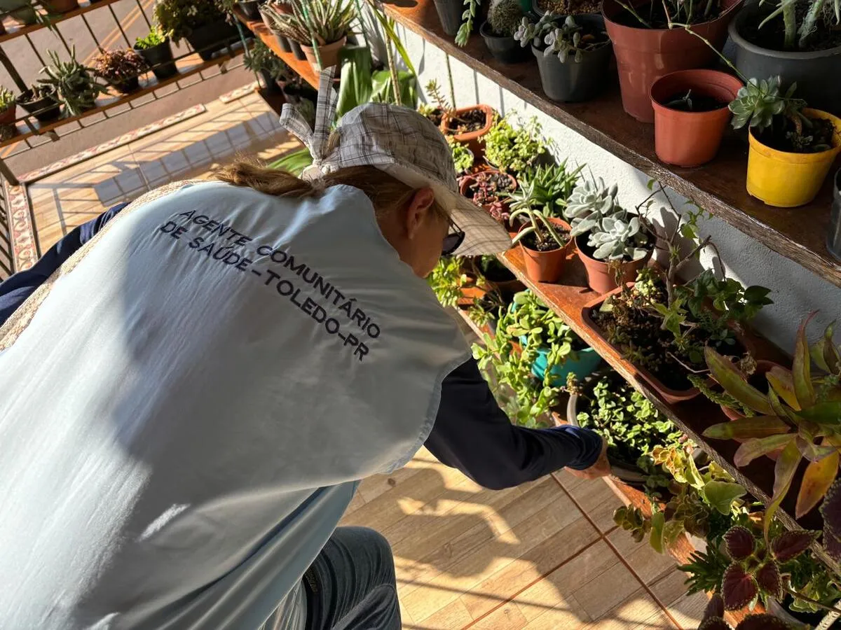 Endemias pede apoio da população para combater o mosquito da dengue em Toledo