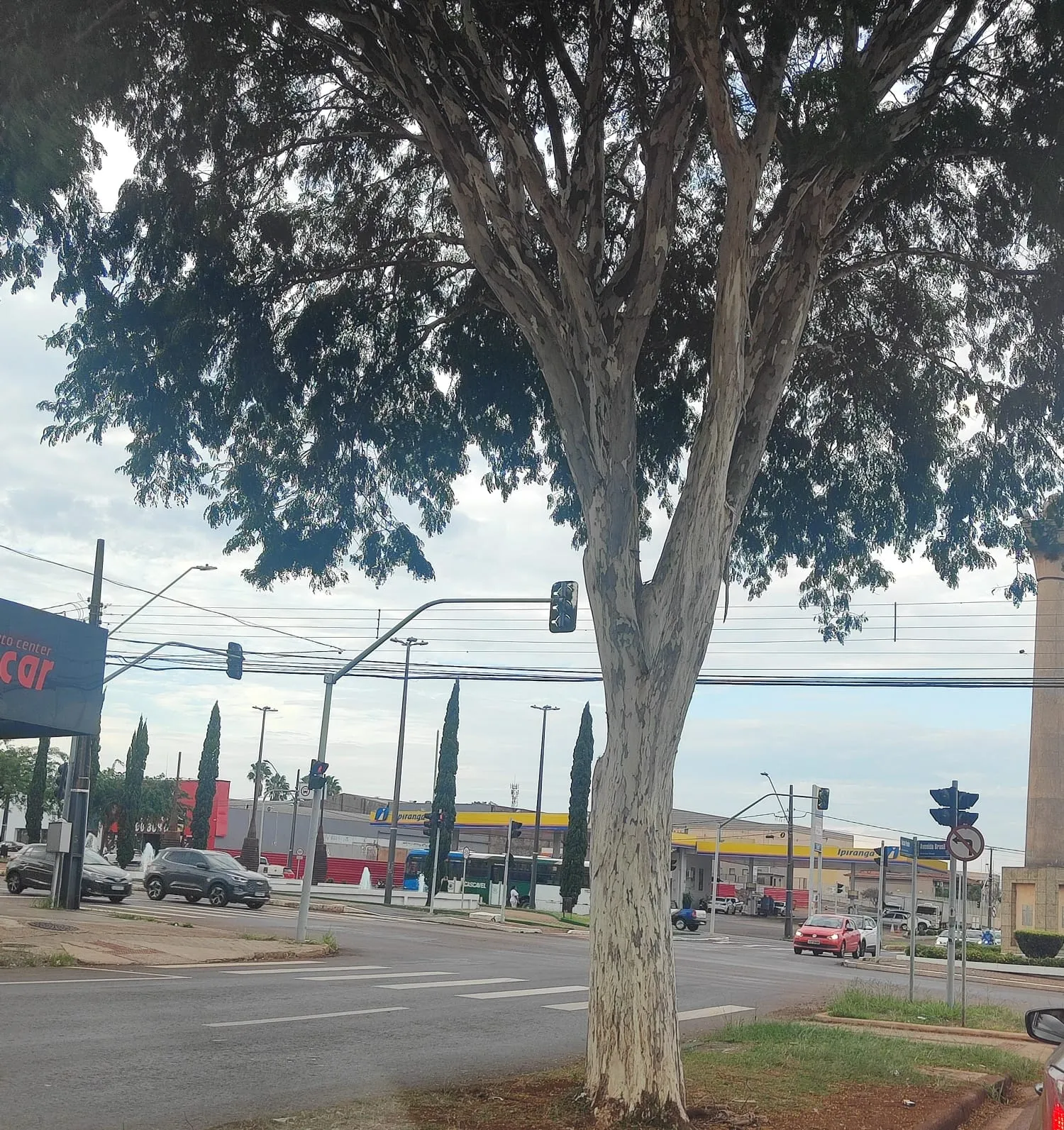 Instabilidade marca a quinta-feira em Cascavel, com previsão de chuva
