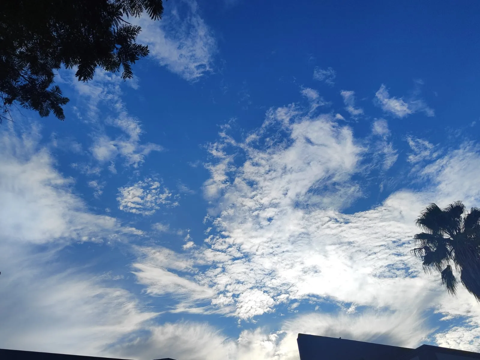 Clima instável e abafado marca a terça-feira em Cascavel