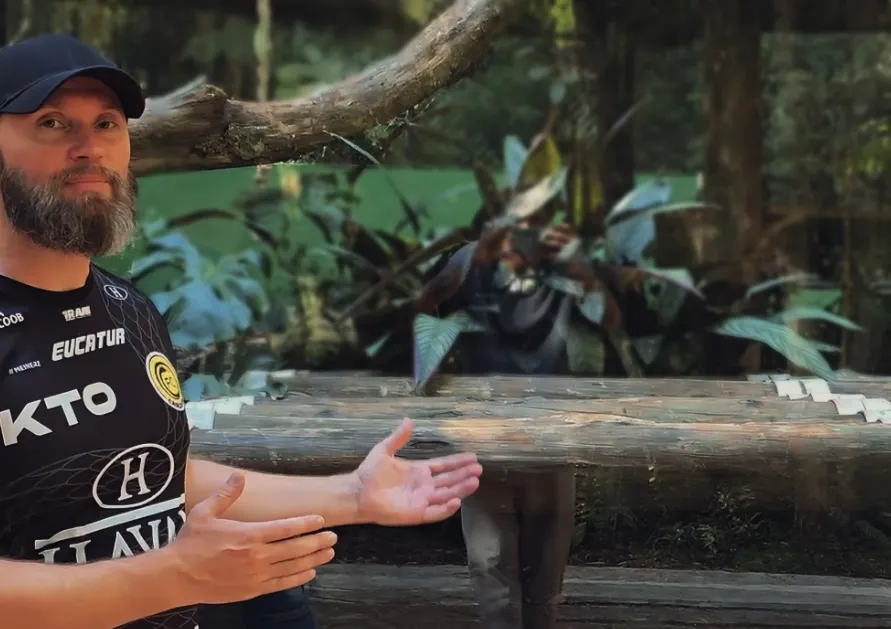 Após pedido de Cleverson Sibulski, Zoo ganha novo recinto para macaca-aranha Chita