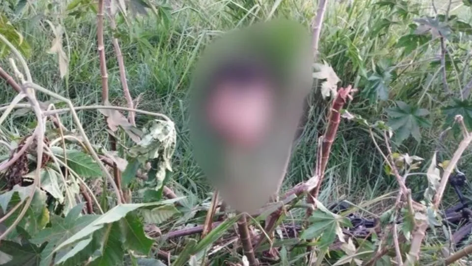 Decapitado: Polícia Federal investiga assassinato brutal de indígena em Guaíra