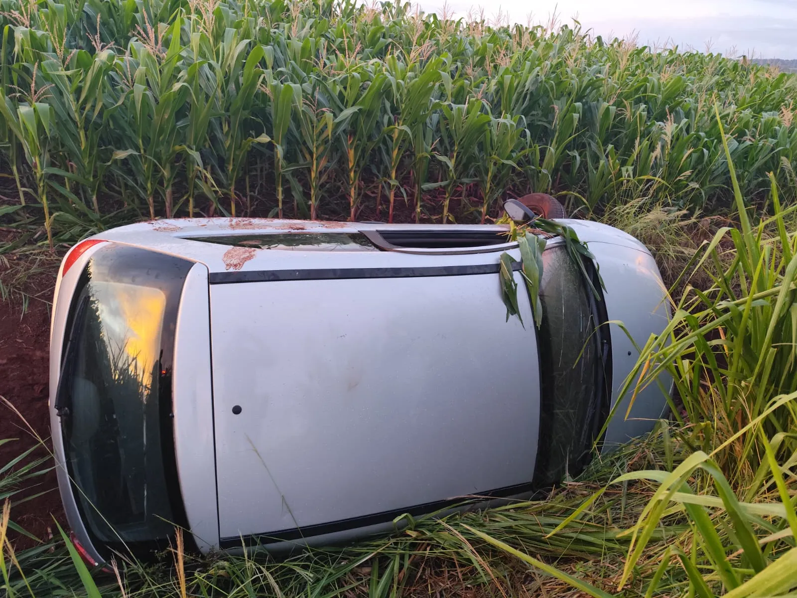 Jovem fica ferida em acidente na PRC-467 e motorista foge após capotamento