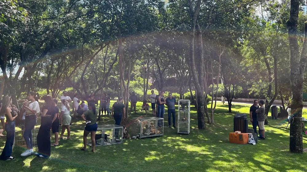 Corbélia: Secretaria de Meio Ambiente realiza 1ª Feira de Adoção e garante novos lares para os animais