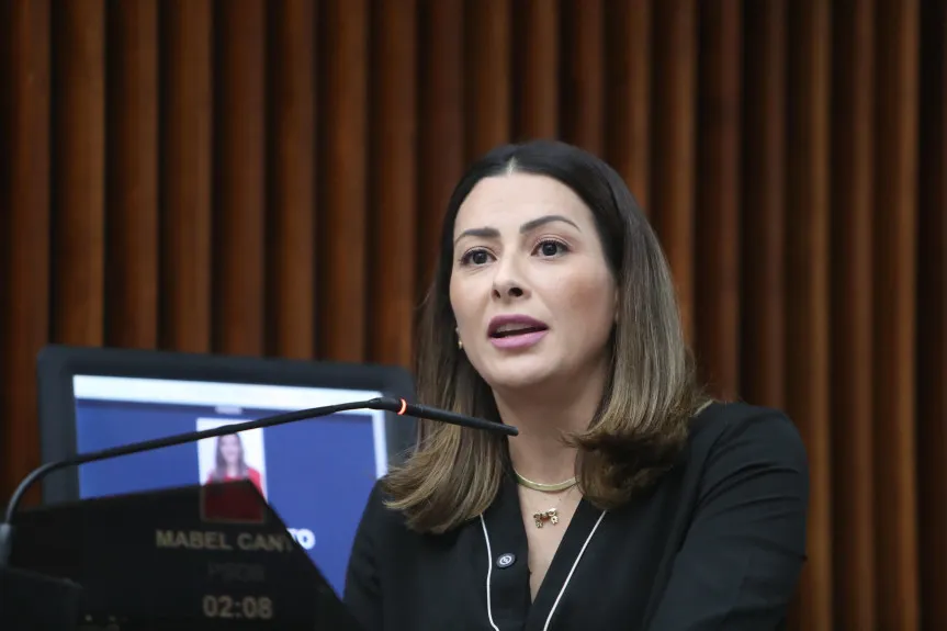 Deputada Mabel Canto solicita melhorias na BR-376 após trágico acidente que vitimou jovem de 22 anos