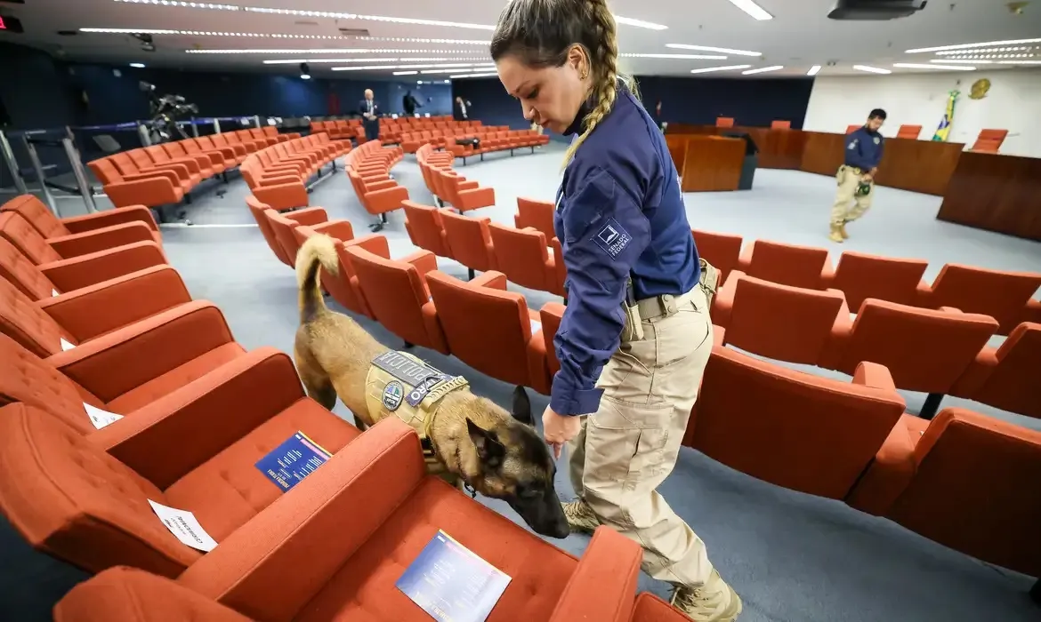 Ex-desembargador provoca tumulto e é detido no julgamento sobre trama golpista