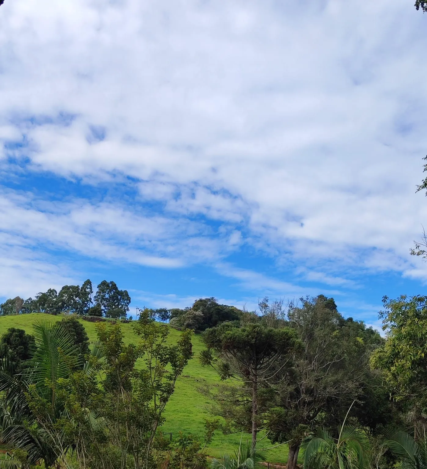 Domingo (30) será de calor intenso e possibilidade de chuvas isoladas em Cascavel
