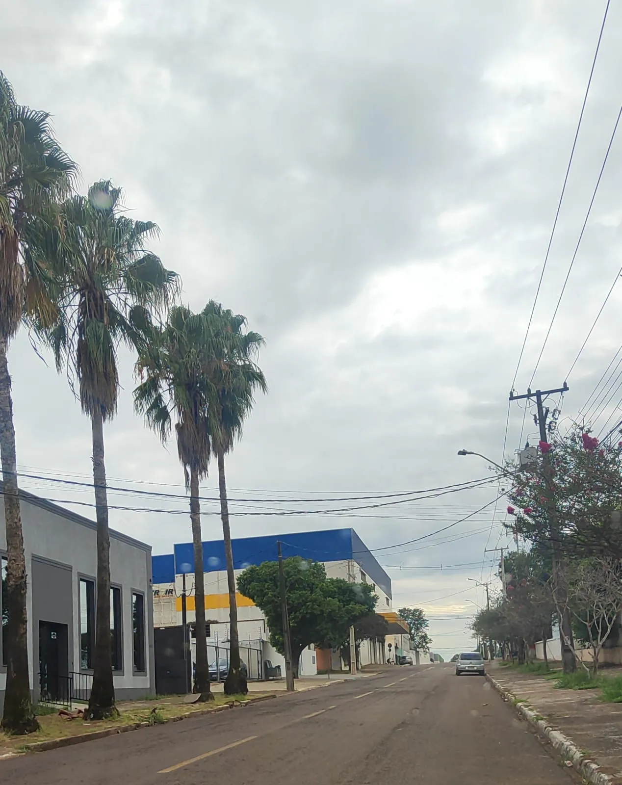 Sábado será de chuva intensa e ventos fortes em Cascavel, alerta Simepar