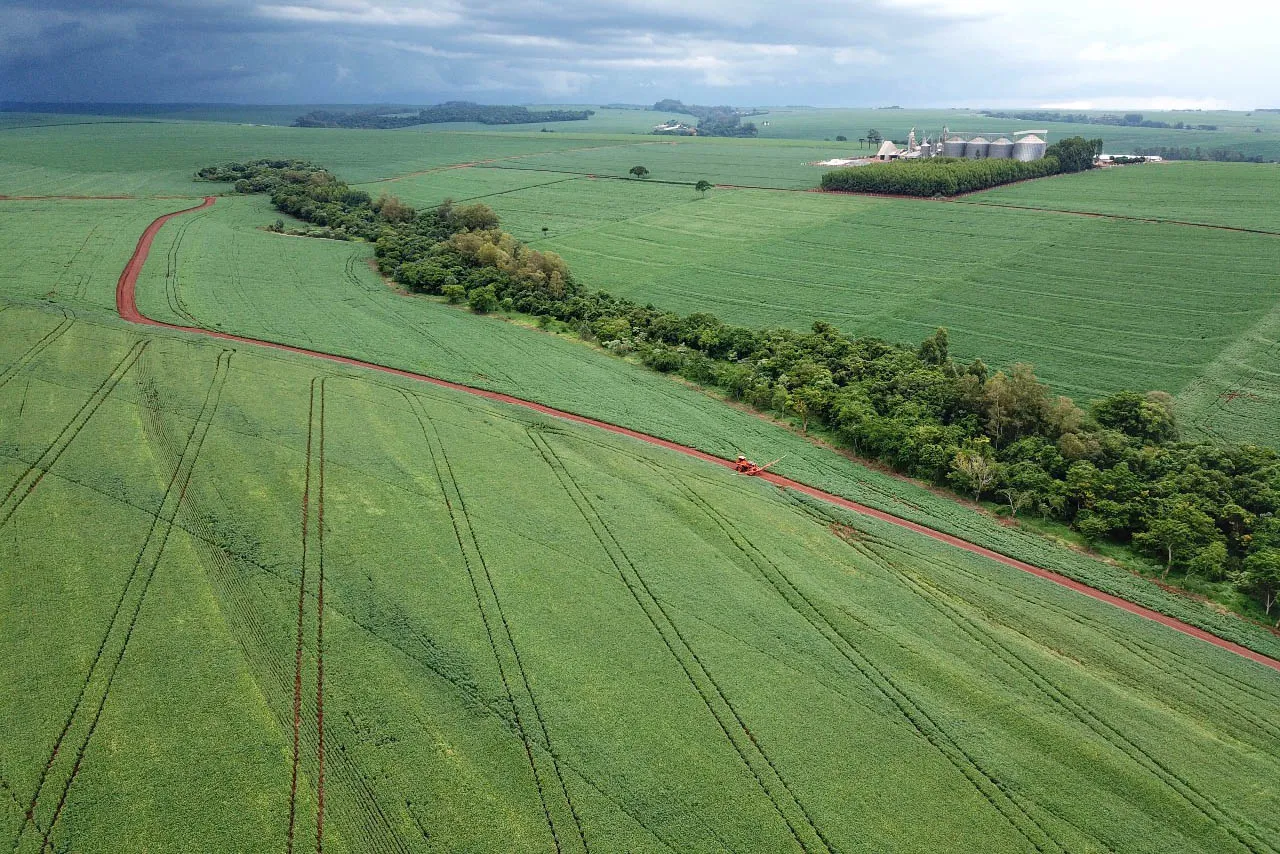 Termina plantio da 2ª safra de milho; previsão de produção é de 15,9 milhões de toneladas