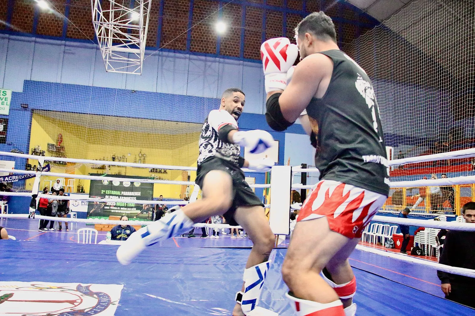 Cascavel sobe ao pódio e se consolida como referência no Muay Thai
