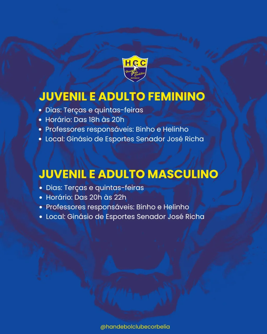 Corbélia valoriza o esporte e fortalece o handebol em todas as idades