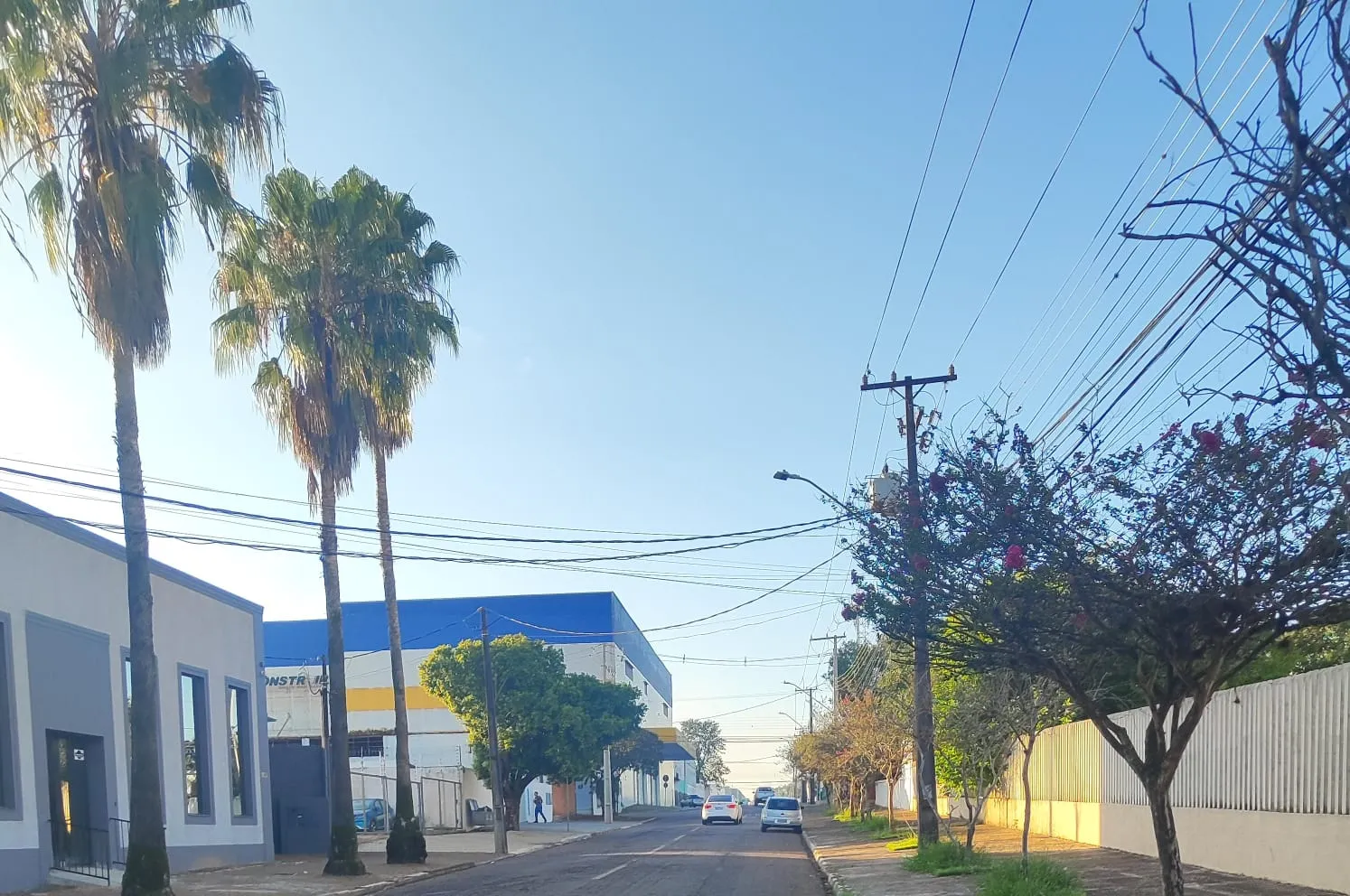 Sol volta a brilhar em Cascavel nesta quarta; máxima de 25°C ☀️