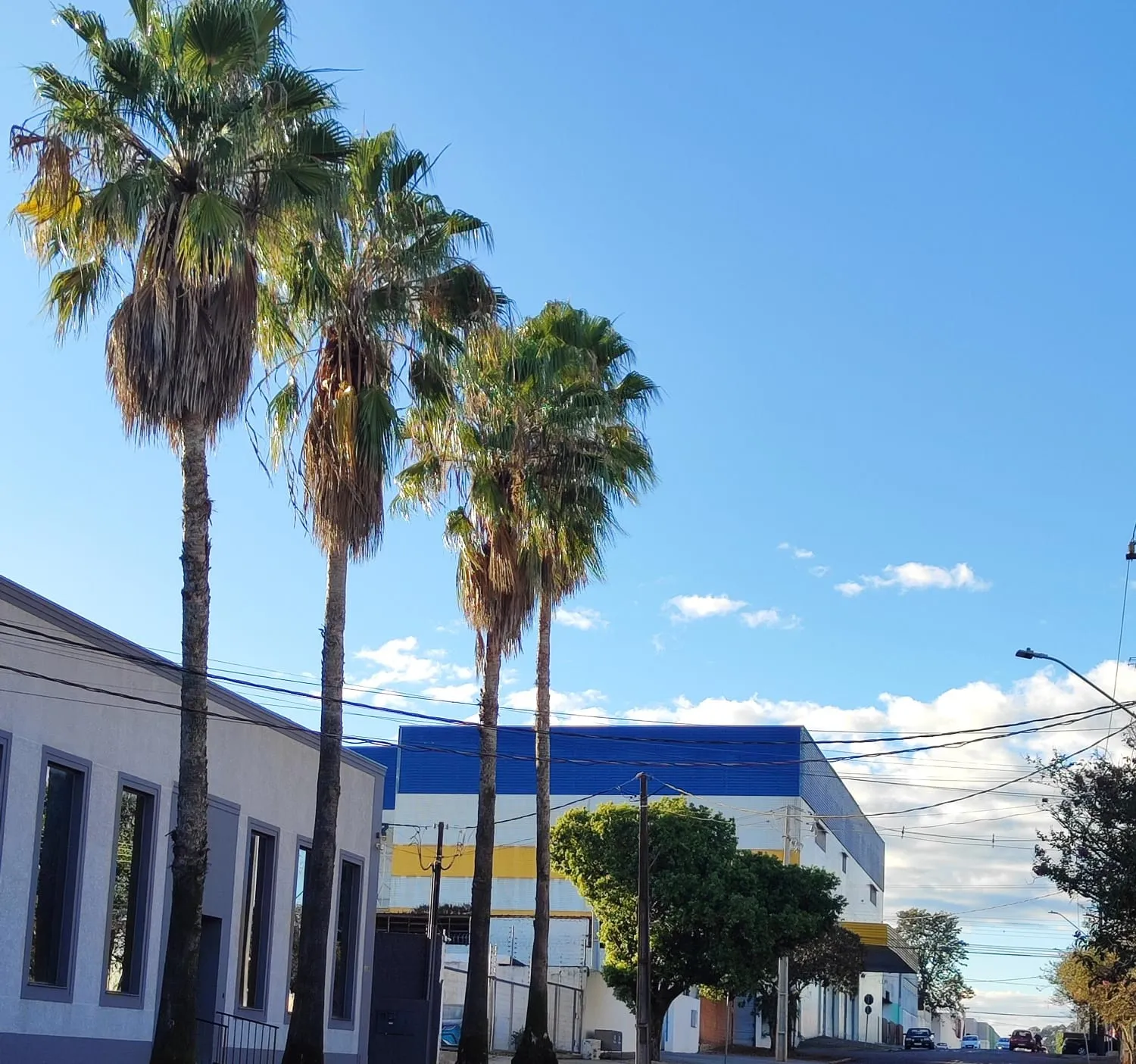 Quinta-feira será de tempo firme e temperaturas agradáveis em Cascavel