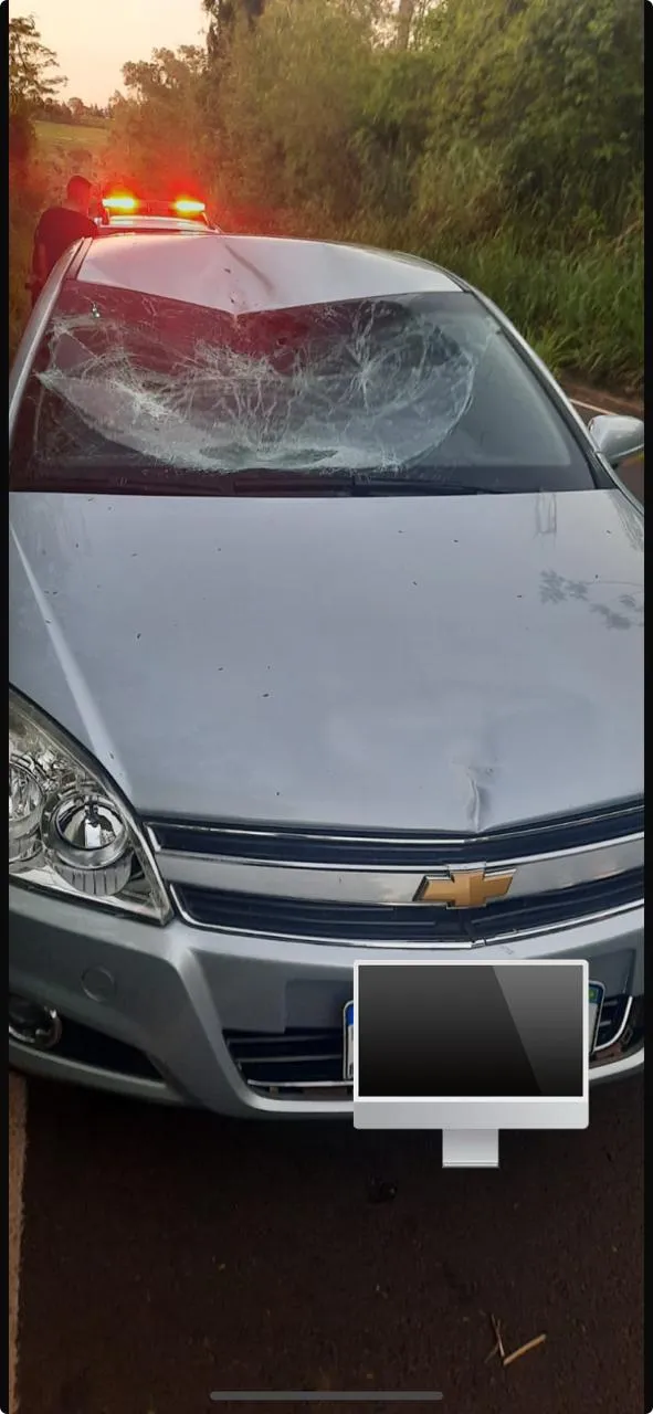 Jovem de 27 anos morre atropelado na PR-490