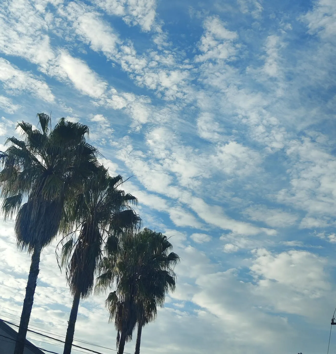 Cascavel inicia a semana com tempo instável