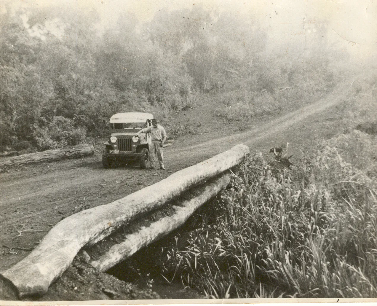 Museu da Imagem e do Som Xico Tebaldi completa 37 anos preservando a memória de Cascavel