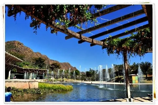 Micos morrem infectados com vírus da herpes no Parque das Mangabeiras,