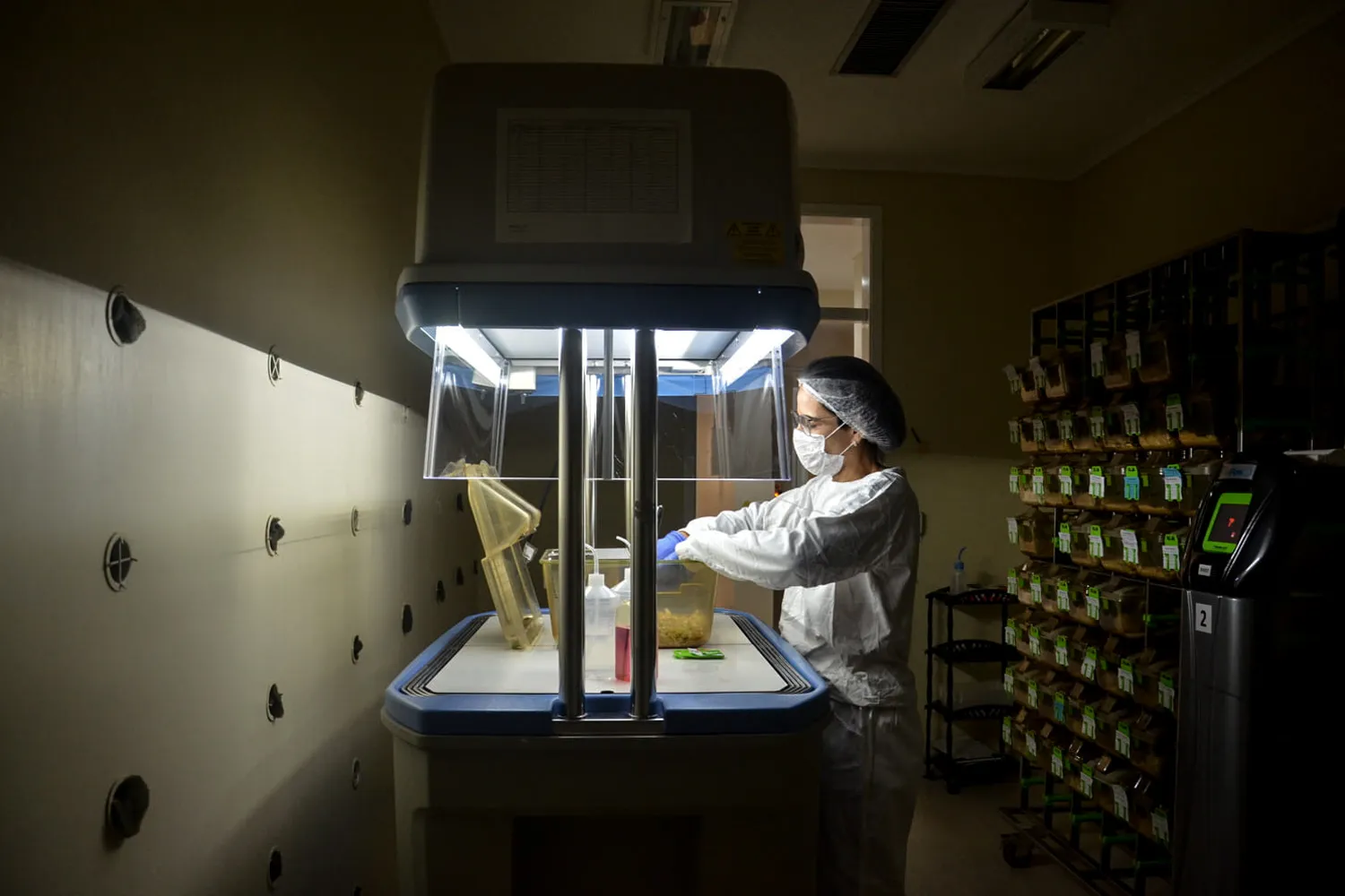 Terapia gênica avança no Brasil e traz novas possibilidades de tratamento para pacientes com doenças raras