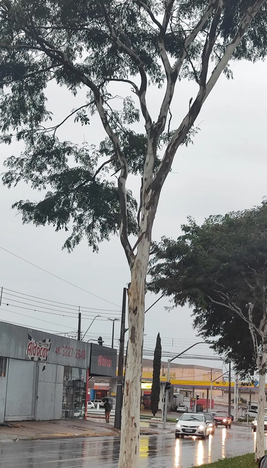 Domingo chuvoso e de temperaturas agradáveis no Paraná