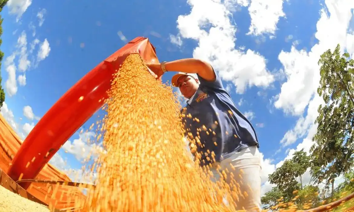 Crédito do BNDES para Plano Safra se aproxima de R$ 30 bilhões