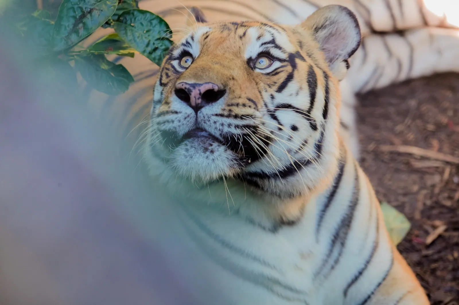 Zoológico de Cascavel abre os portões para visitação no recesso de Dia do Trabalhador