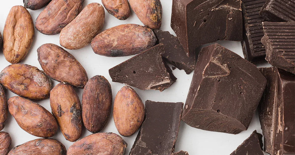 Pesquisadores desenvolvem formulação em pó para substituir o uso do cacau na produção de chocolate