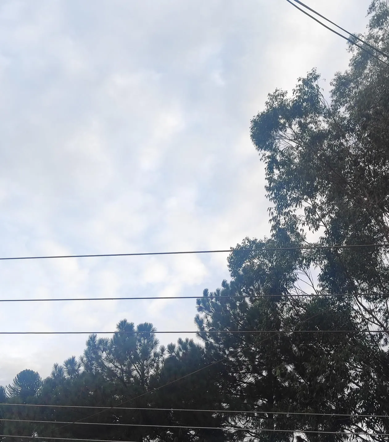 Clima ameno e sem chuva marca o sábado em Cascavel