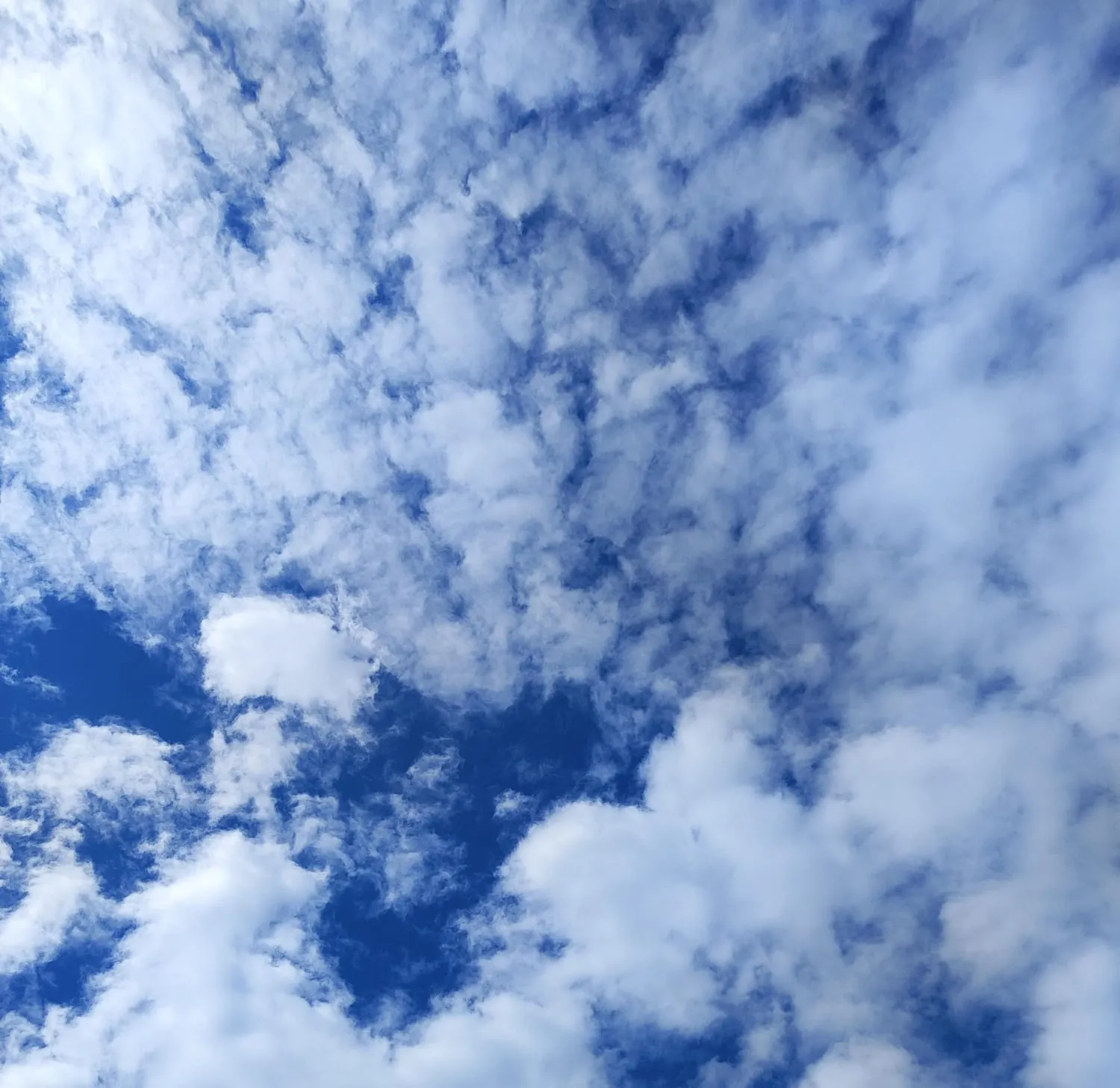 Domingo será de sol entre nuvens e clima ameno em Cascavel