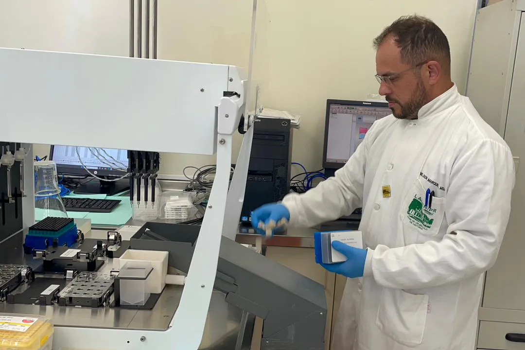 Com dois casos autóctones, Paraná entra em alerta para febre do Oropouche