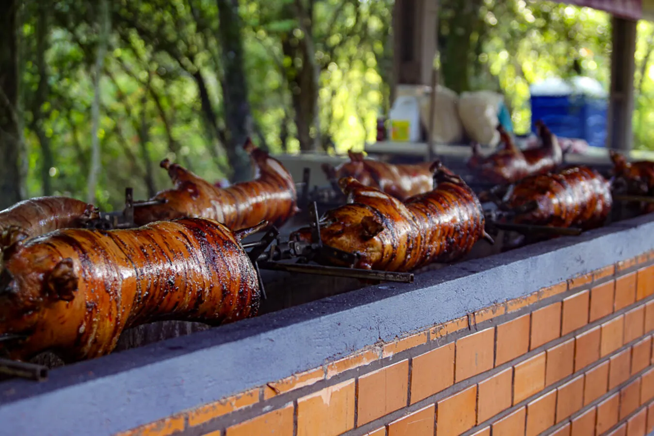 Toledo é referência em festas gastronômicas no campo e na cidade