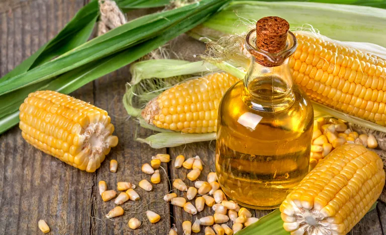 Brasil exporta US$ 15 bilhões em abril e registra recordes em produtos menos tradicionais da pauta exportadora