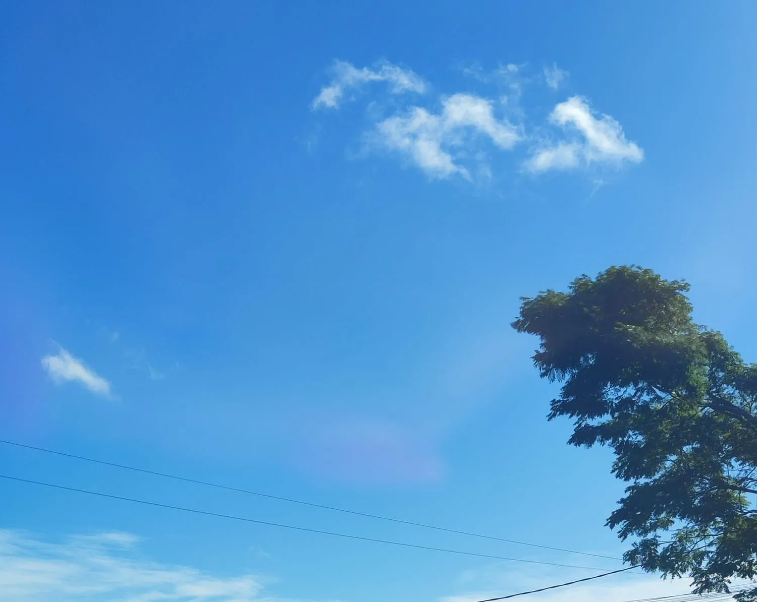 Domingo em Cascavel será de ventos fortes e previsão de chuva à noite