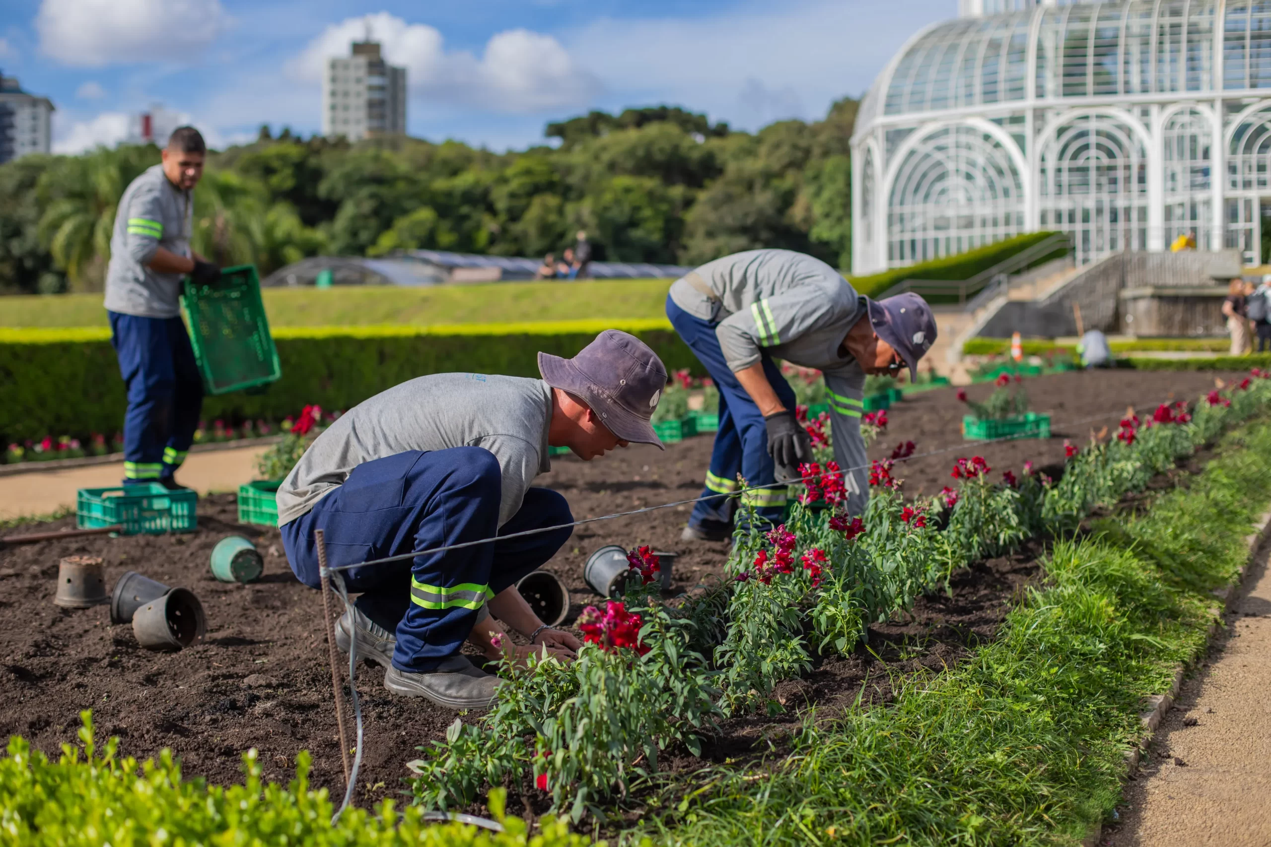 Jardim Botânico prepara-se para o inverno com a troca de 100 mil flores
