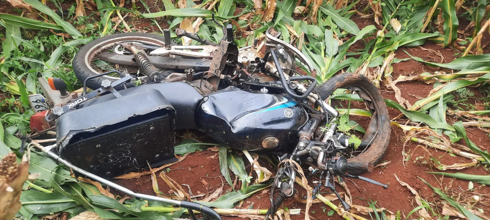 Motociclista morre em colisão frontal na PR-486
