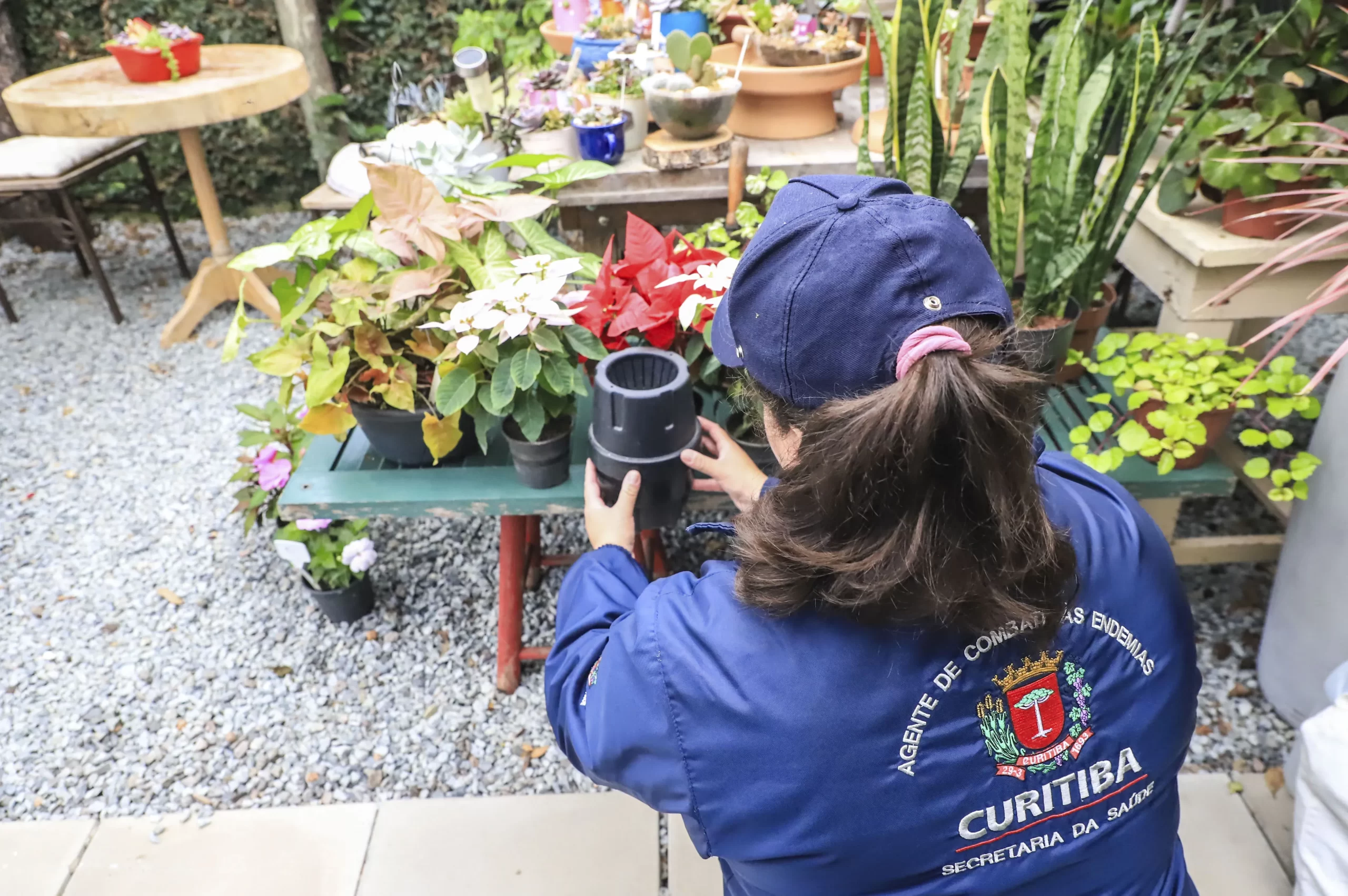 Casos de dengue caem 92% em Curitiba com trabalho intenso liderado pela Prefeitura