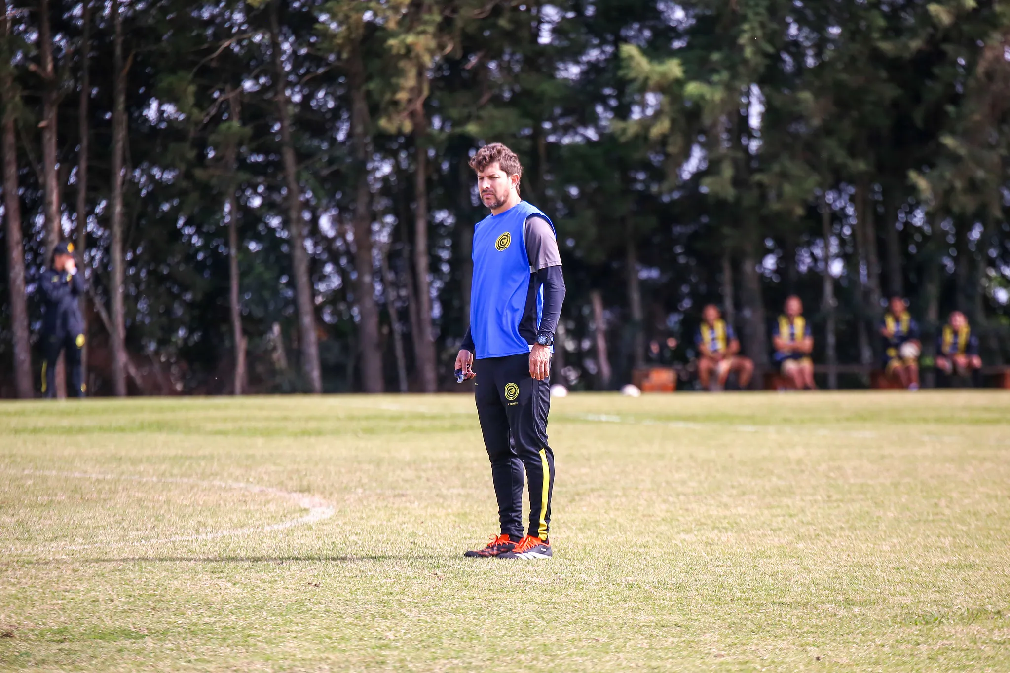 Tcheco avalia trabalho de Carlo Ancelotti na Seleção